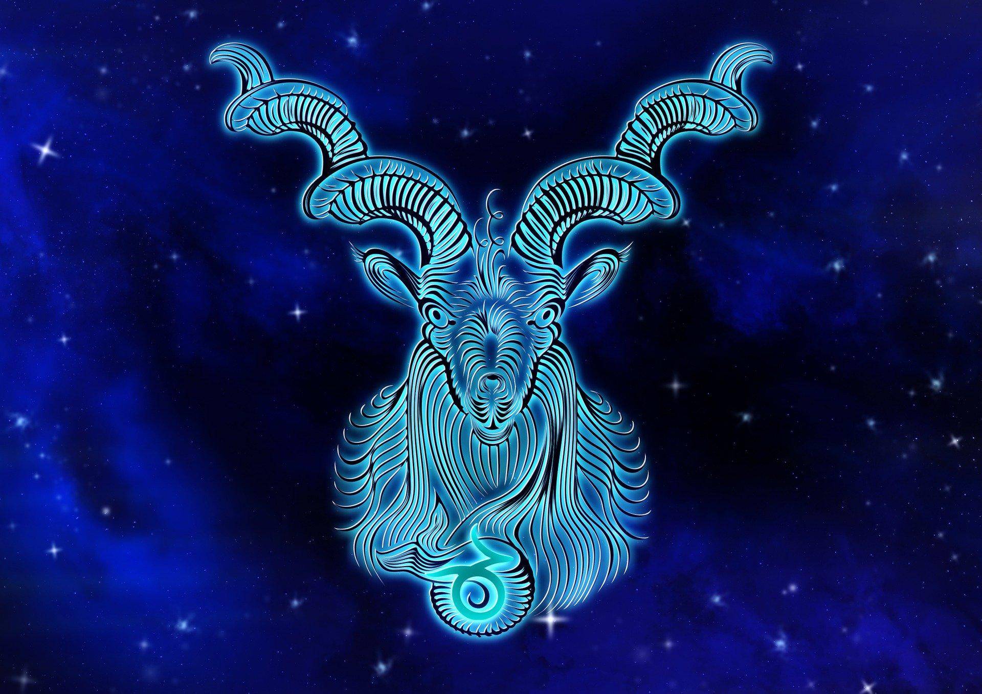 Ħ2019ƴ