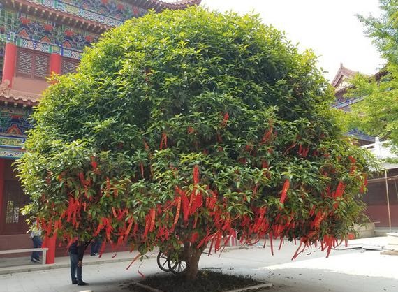 易经八卦看风水阴宅 易经八卦看风水阴宅
