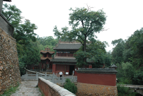 爱上河东狮(我爱河东狮经典台词求爱台词) 爱上河东狮(我爱河东狮经典台词求爱台词)