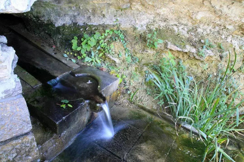 风水阳宅种树好不好呀 风水阳宅种树好不好呀