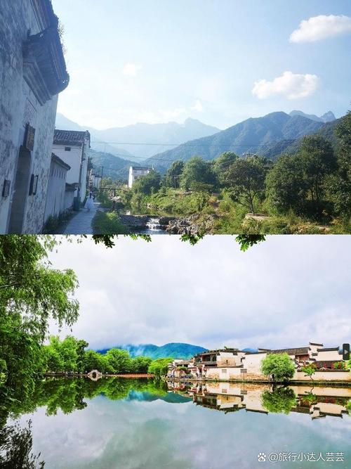 风水与住宅绿植 风水与住宅绿植