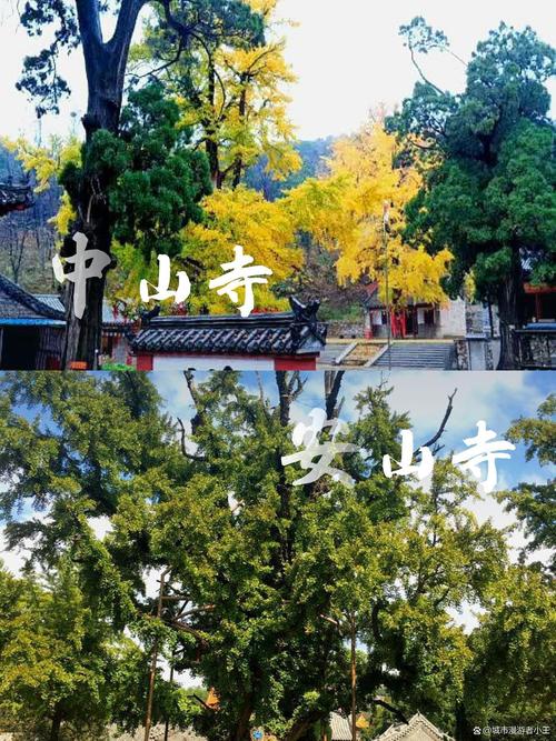 章若楠公司艺人的介绍 章若楠公司艺人的介绍