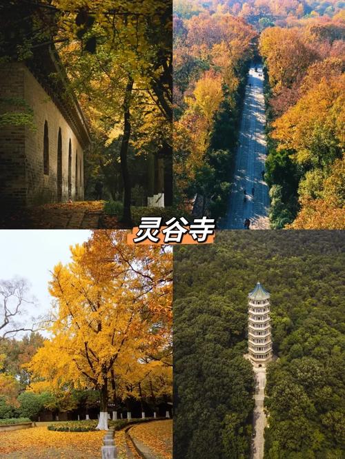 下午能看阴宅吗 下午能看阴宅吗