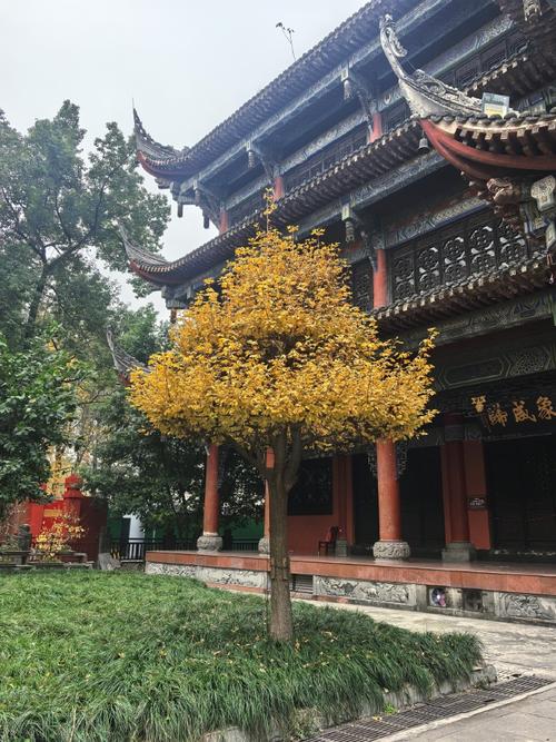 属相五行都很合的夫妻 属相五行都很合的夫妻