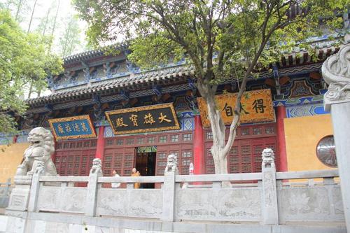李一桐学历 李一桐学历高吗 李一桐学历 李一桐学历高吗