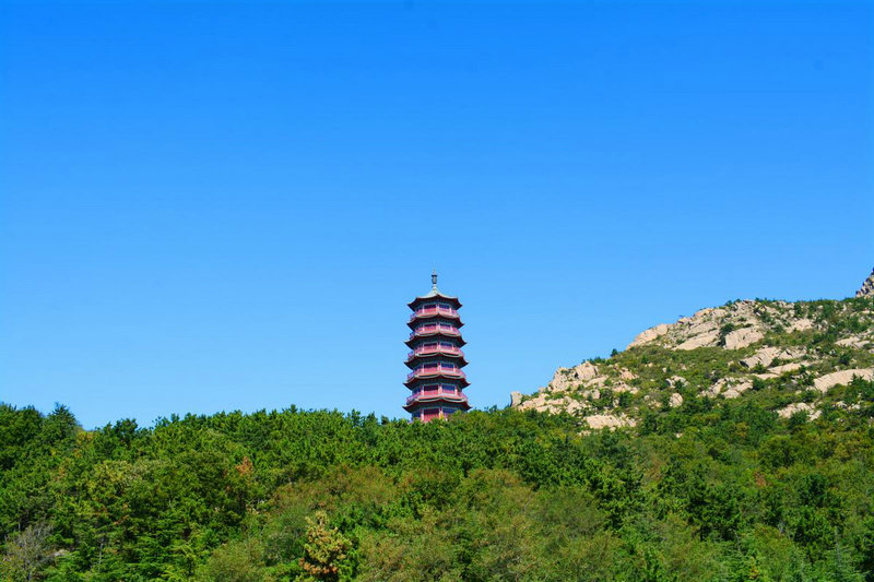 ��լѨ������������