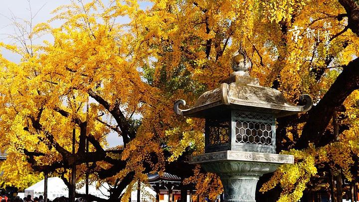 十二生肖2018年运势,李居明2018年生肖运程 十二生肖2018年运势,李居明2018年生肖运程