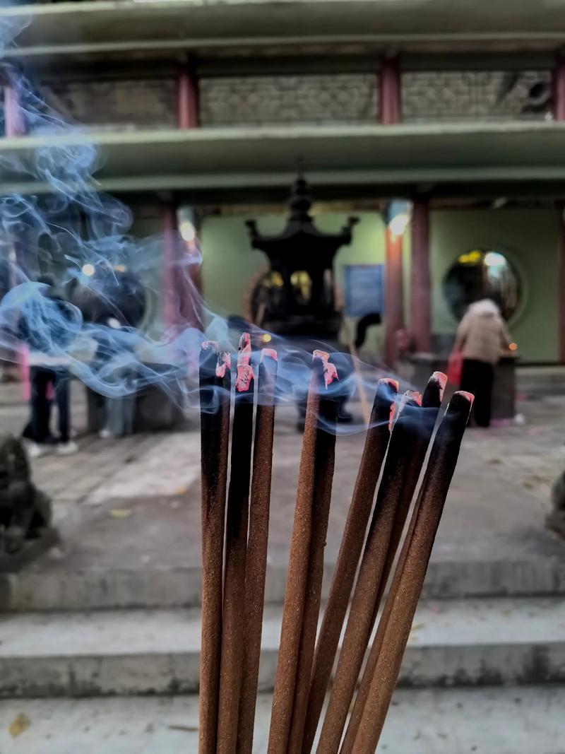 属羊人的性格分析 属羊人的性格分析