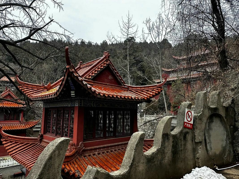 山上之鼠是什么意思 山上之鼠是什么意思