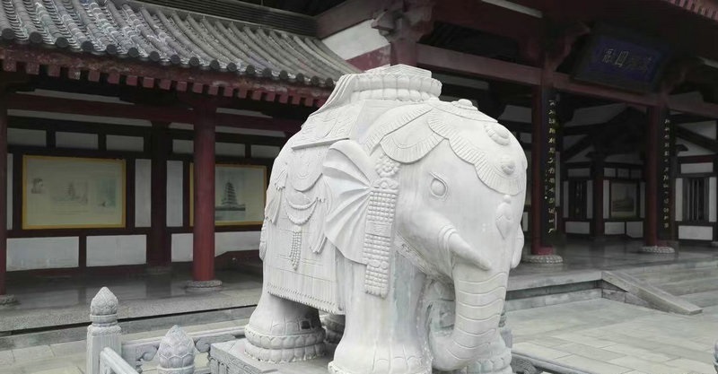 生肖马女与什么属相配(属马的女性和什么生肖最配呢 ) 生肖马女与什么属相配(属马的女性和什么生肖最配呢 )