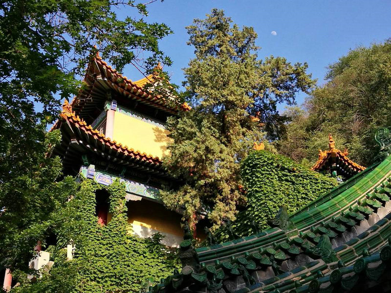 韩国明星宋慧乔(韩国明星宋慧乔和rain演的电视剧叫什么名字) 韩国明星宋慧乔(韩国明星宋慧乔和rain演的电视剧叫什么名字)