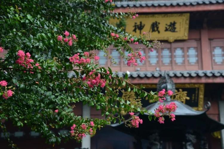 王者荣耀之水瓶座专属英雄 王者荣耀 水瓶座 王者荣耀之水瓶座专属英雄 王者荣耀 水瓶座