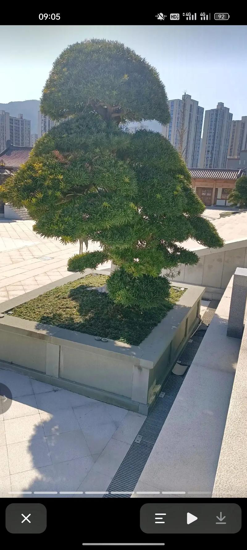 算命先生专属口号大全八字(算命先生最经典的18句话) 算命先生专属口号大全八字(算命先生最经典的18句话)