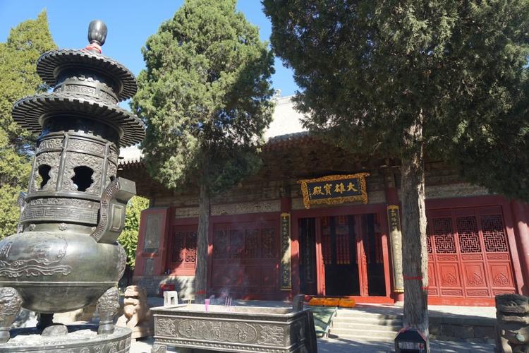 情殇玫瑰园,情殇玫瑰园电影豆瓣 情殇玫瑰园,情殇玫瑰园电影豆瓣