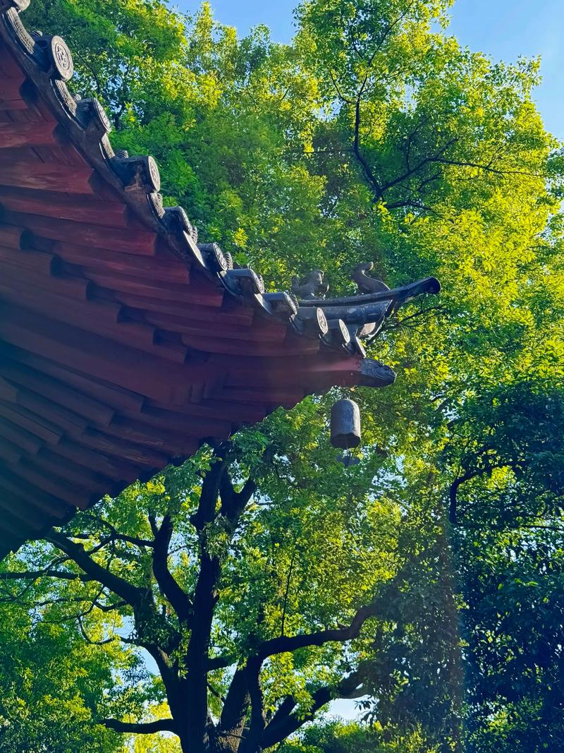 阴宅旺财阳宅旺人 阴宅旺财阳宅旺人