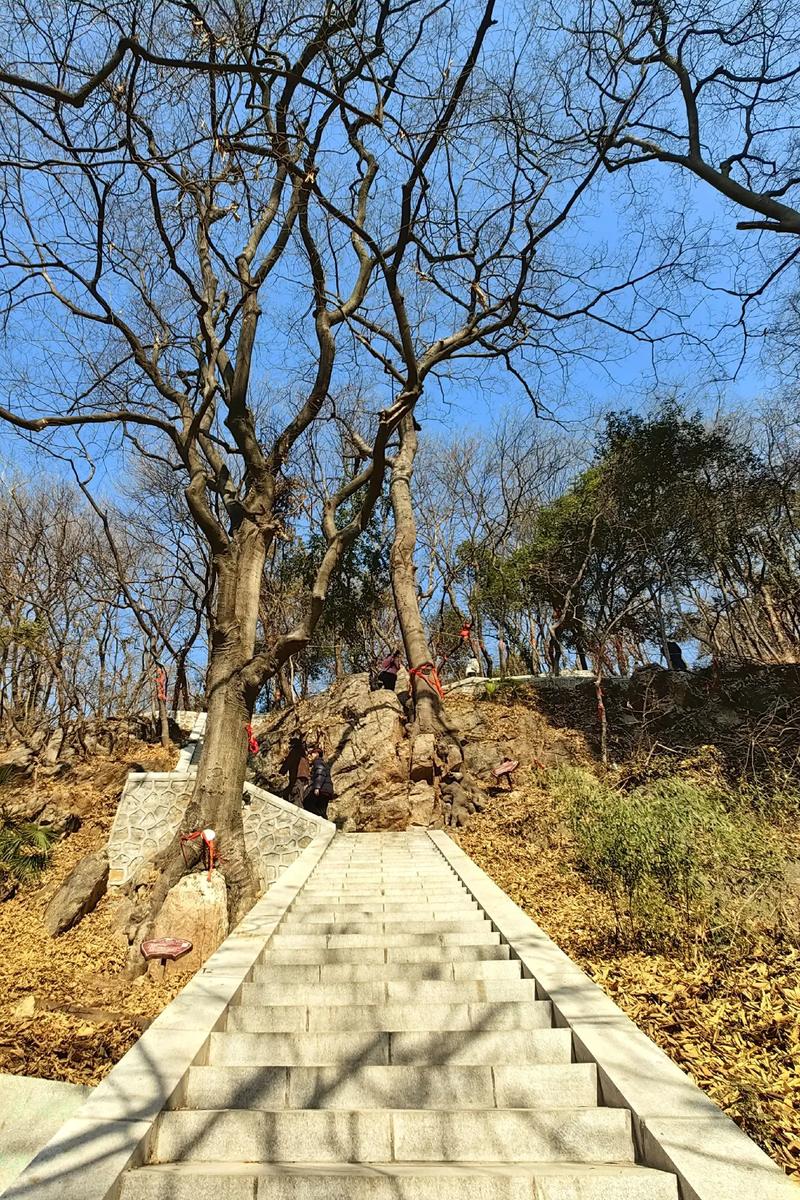 张云雷近况最新德云社演出队伍大调整,郭德 张云雷近况最新德云社演出队伍大调整,郭德