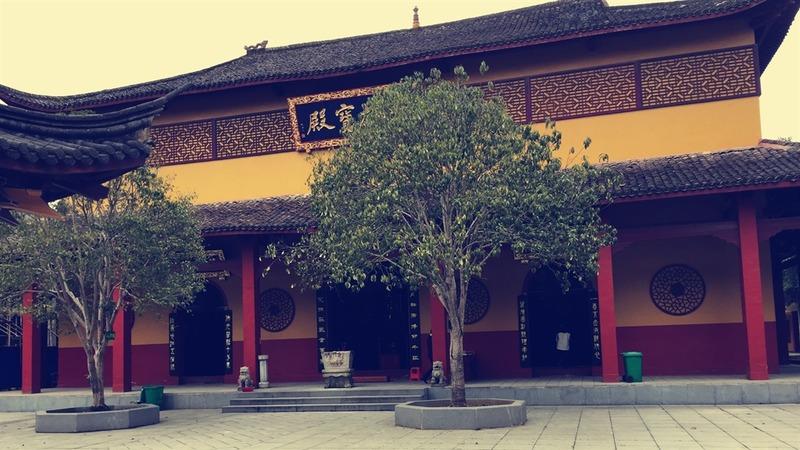 阴宅中挖出蟾蜍什么意思 阴宅中挖出蟾蜍什么意思