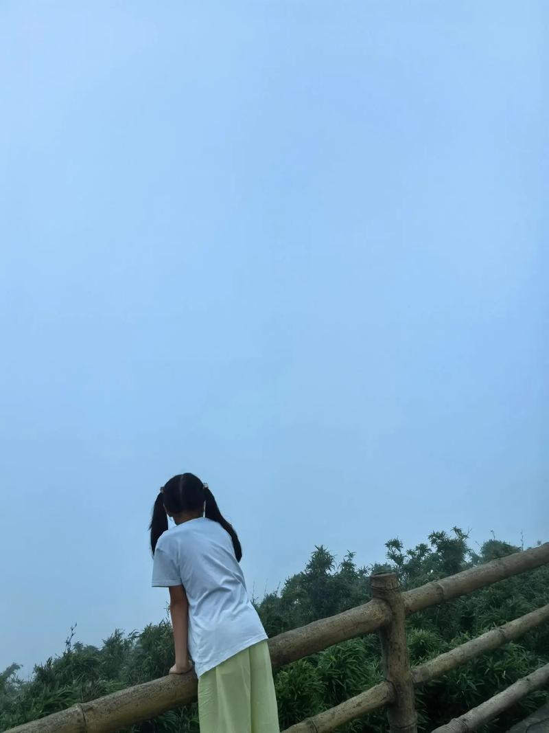 风水猴猴子跟什么动物相好 风水猴猴子跟什么动物相好