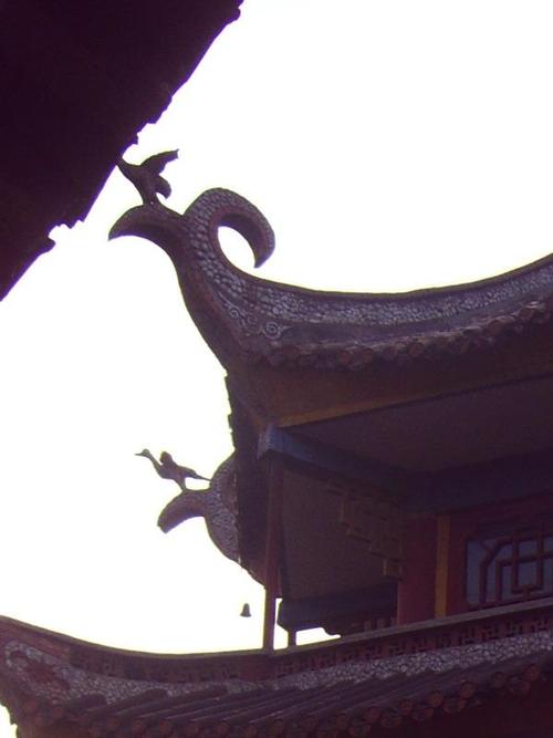 什么八字利考学 对考学不利的八字 什么八字利考学 对考学不利的八字