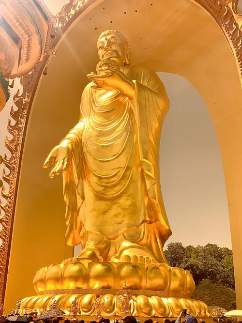 虎年最旺的四个属相,属虎的和什么属相最配财 虎年最旺的四个属相,属虎的和什么属相最配财