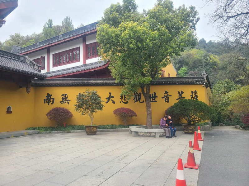 属马的遇鸡年运势如何,2017属马人全年运势 属马的遇鸡年运势如何,2017属马人全年运势