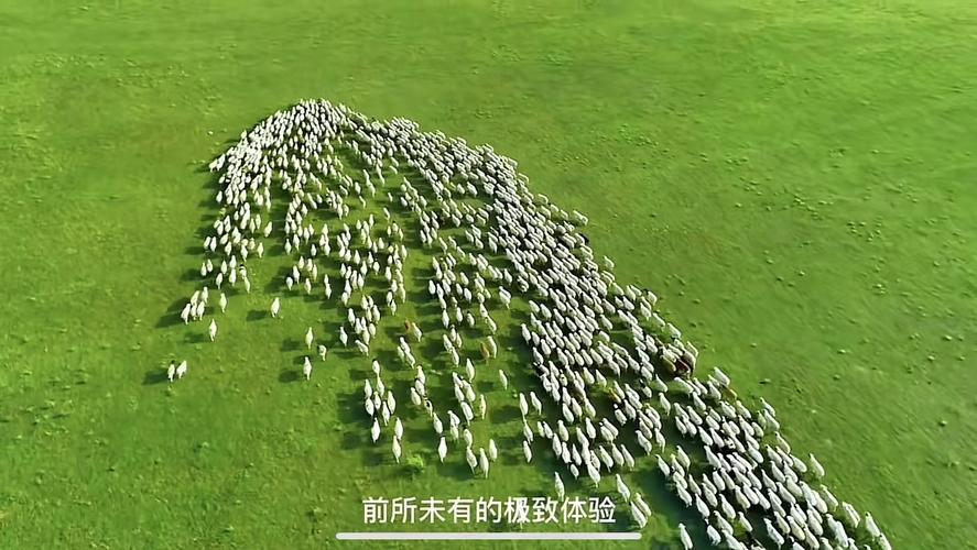 1984年的老鼠五行属什么 1984年的老鼠五行属什么