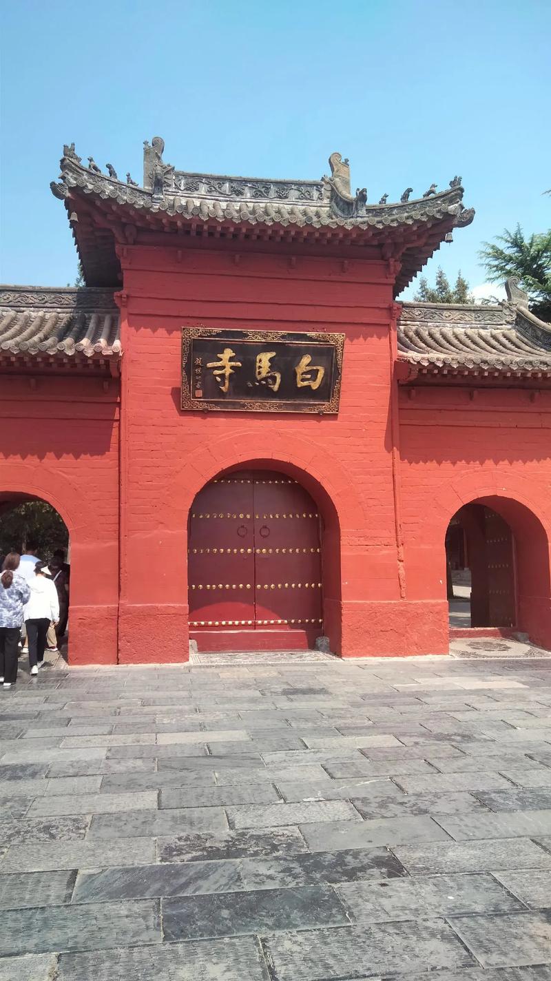 老男孩美版灭霸和绯红女巫 老男孩美版灭霸和绯红女巫