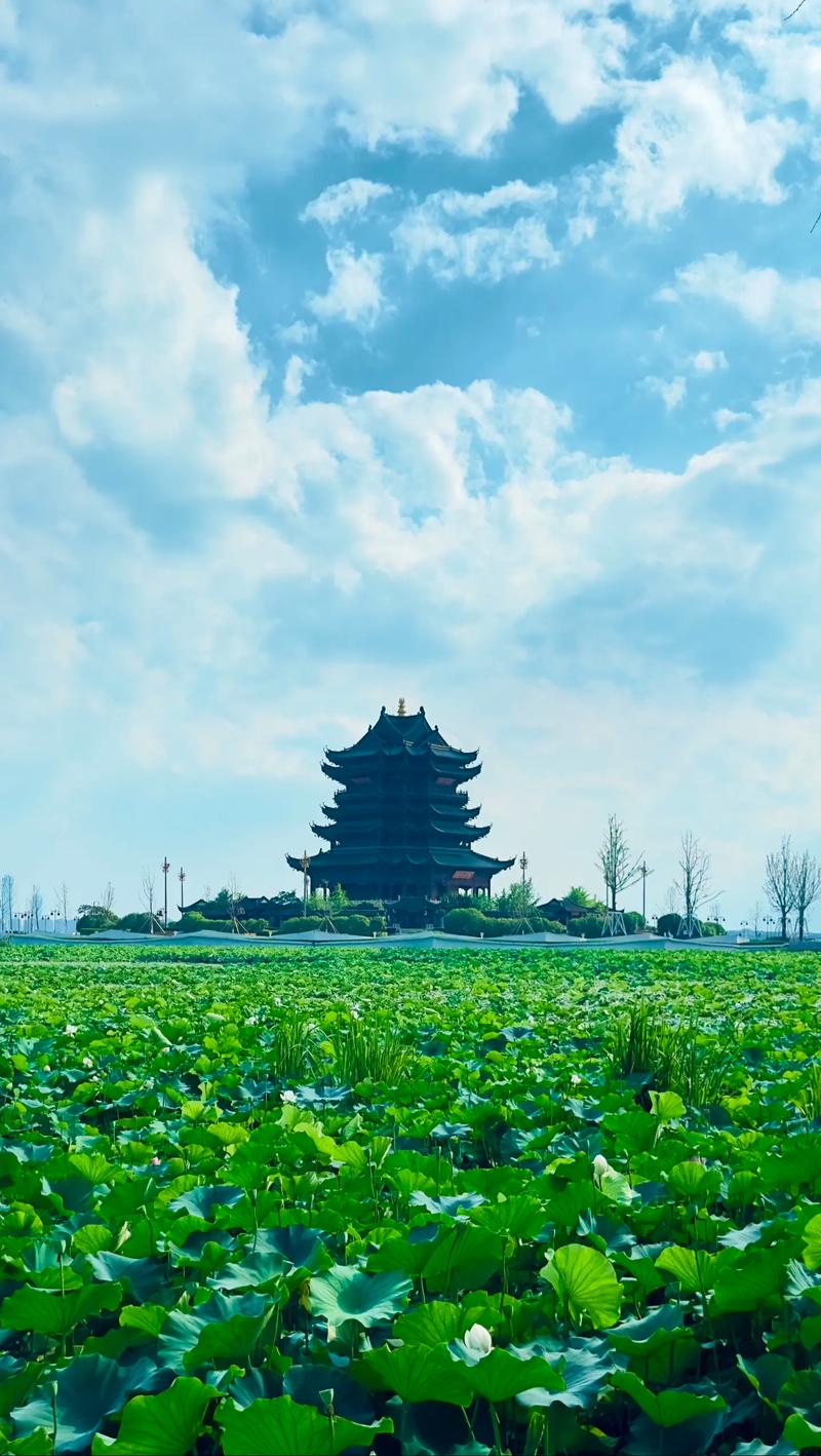 用阳宅做阴宅注意事项 用阳宅做阴宅注意事项