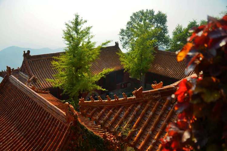 农村家宅风水禁忌(姐弟对门风水禁忌图解) 农村家宅风水禁忌(姐弟对门风水禁忌图解)