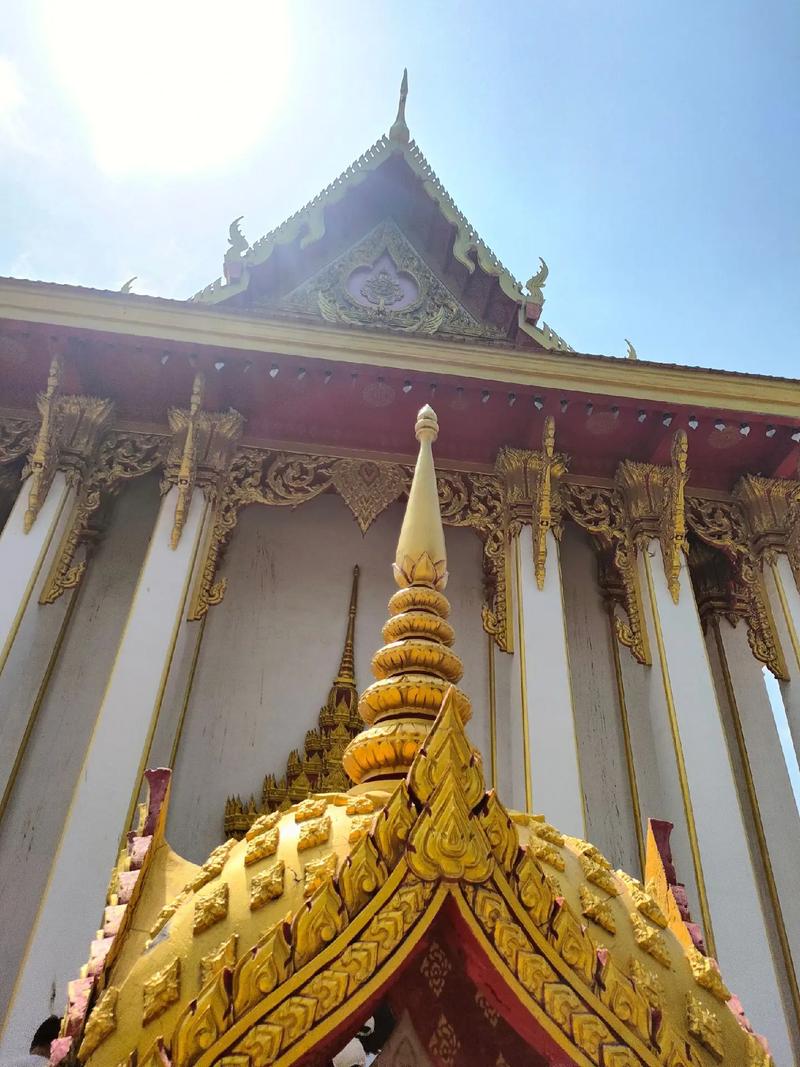 ���Դ�Ů���İ������״��