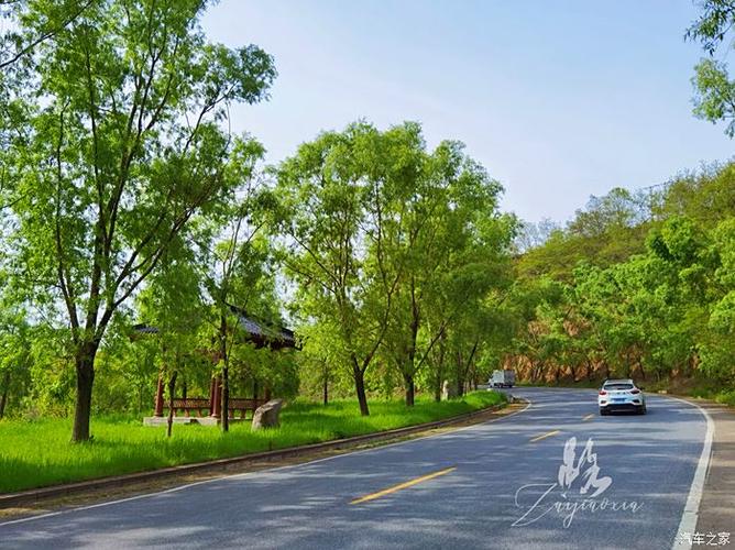 沈培艺艺术照_沈培艺写真照 沈培艺艺术照_沈培艺写真照
