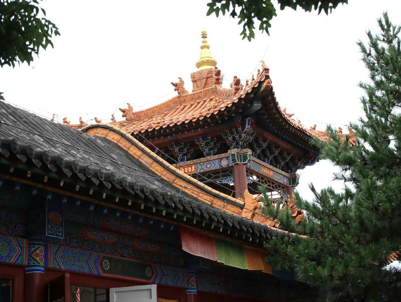 魏大勋房子在哪个小区最抠门富二代,杨幂对 魏大勋房子在哪个小区最抠门富二代,杨幂对