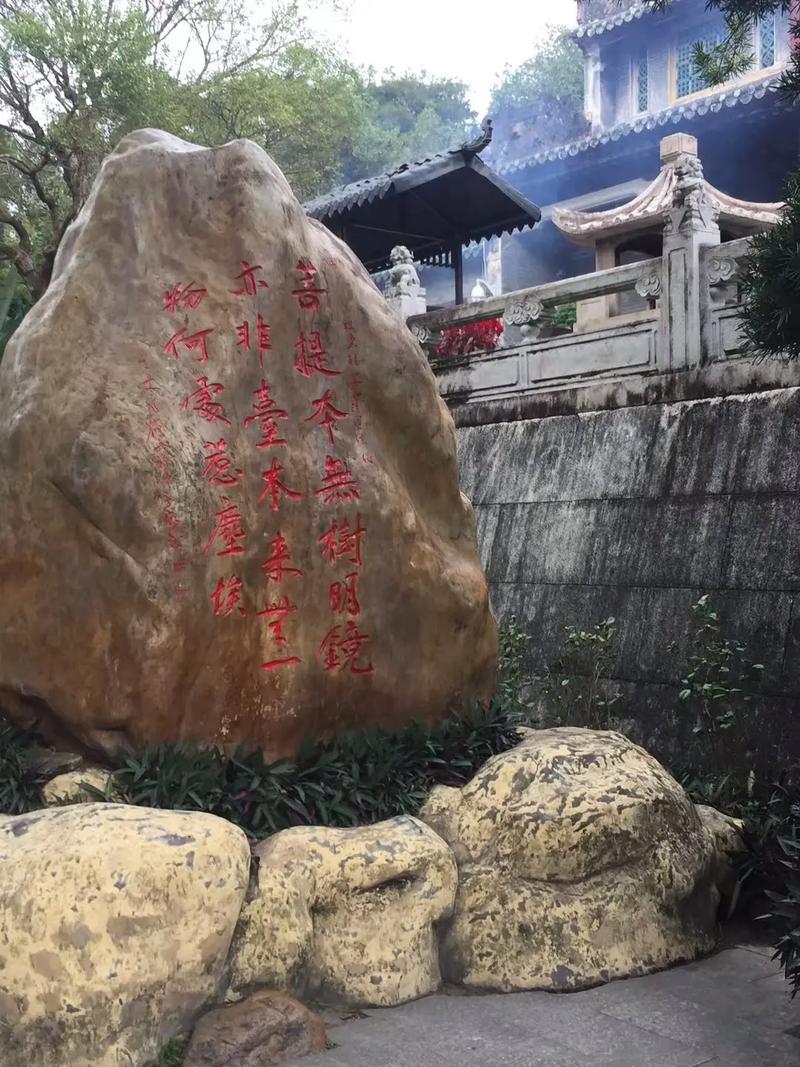 女属猪男属鸡婚配好吗 属鸡和属猪婚姻好不好 女属猪男属鸡婚配好吗 属鸡和属猪婚姻好不好